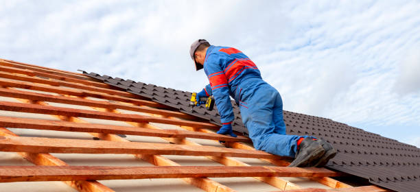 Best Roof Insulation Installation  in Clemson, SC